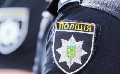 На Буковине компания молодежи поиздевалась над лисенком, в полиции отреагировали