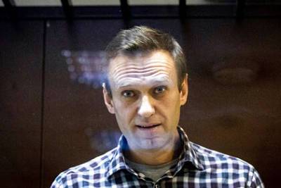 Алексей Навальный - Вадим Кобзев - Защита Навального обжаловала замену ему условного срока на реальный - lenta.ru - Москва