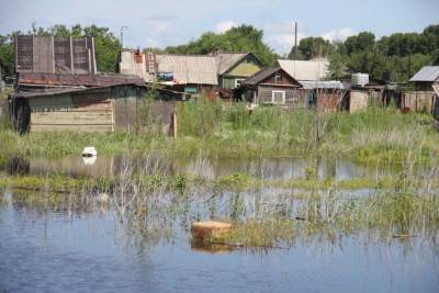 Картина дня в Хабкрае: сельхоз земли затопило и пикет против фастфуда