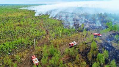 Площадь пожара в мордовском заповеднике за сутки увеличилась до 4,6 тыс. га