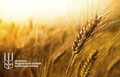 ГПЗКУ отправит в Китай 1 млн т зерна до конца года - agroportal.ua - Китай - Украина