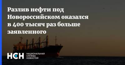 Разлив нефти под Новороссийском оказался в 400 тысяч раз больше заявленного