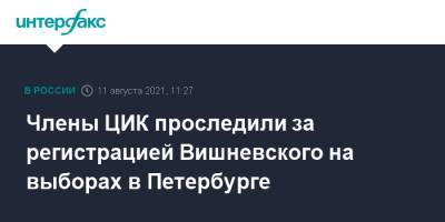 Члены ЦИК проследили за регистрацией Вишневского на выборах в Петербурге