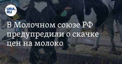 В Молочном союзе РФ предупредили о скачке цен на молоко