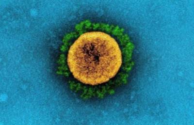 В США распространяется штамм коронавируса с летальностью более 80%