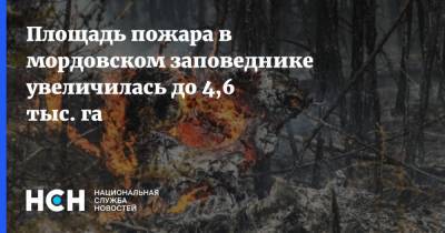 Площадь пожара в мордовском заповеднике увеличилась до 4,6 тыс. га