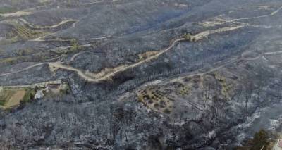 Какой ущерб нанесли экономике Турции лесные пожары: статистика