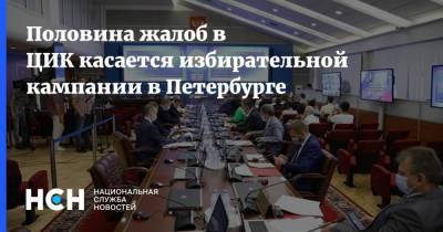 Половина жалоб в ЦИК касается избирательной кампании в Петербурге