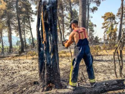 Спасли 23 га оливкового и инжирового сада. Украинские спасатели тушат пожары в Греции