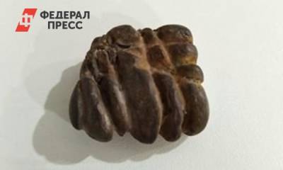 Житель Кирова продает «артефакт» Каменного века за 10 млн рублей