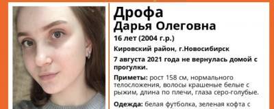 В Новосибирске после похода в магазин пропала 16-летняя Дарья Дрофа