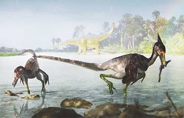 В Бразилии открыли новый вид пернатых динозавров