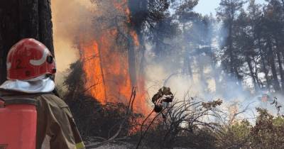 Украинские спасатели в Греции уберегли жилой дом, сады и постройки от масштабных пожаров