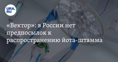 «Вектор»: в России нет предпосылок к распространению йота-штамма