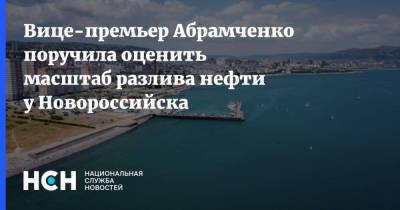 Вице-премьер Абрамченко поручила оценить масштаб разлива нефти у Новороссийска