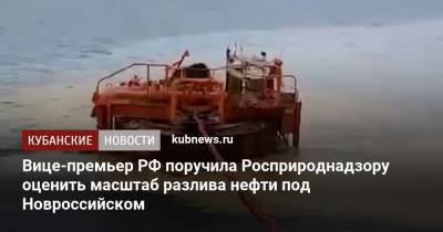 Вице-премьер РФ поручила Росприроднадзору оценить масштаб разлива нефти под Новроссийском