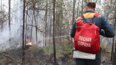 В Якутии площадь лесных пожаров достигла 6,6 млн га
