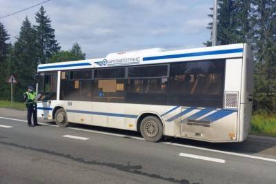 Без ремня, с телефоном: водители автобусов в Карелии нарушают ПДД