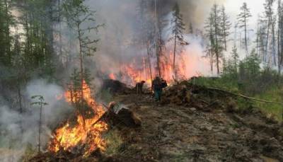 Пока огонь уничтожает леса в Якутии, Путин продолжает направлять авиацию для тушения пожаров за границу