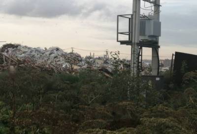 Девятый вал мусора: как предприниматели к земле и природе в Ленобласти относятся