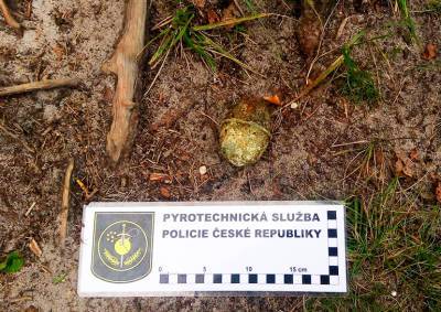 На берегу Махова озера нашли боевую гранату