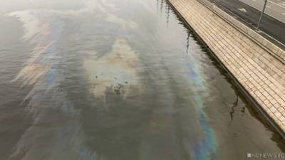 Экологи: 100 тонн нефти вылилось в море у Новороссийска, пятно дошло до дельфинария под Анапой