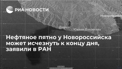 РАН: нефтяное пятно в Черном море, оказавшееся в 400 тысяч раз больше, может исчезнуть к концу дня