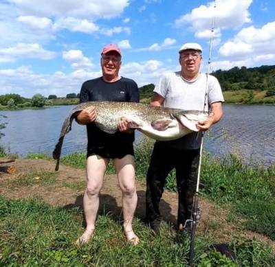 Рыбаки в Липецкой области поймали 28-килограммового сома руками