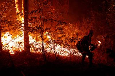 США столкнулись с крупнейшим пожаром в истории