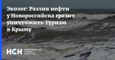 Эколог: Разлив нефти у Новороссийска грозит уничтожить туризм в Крыму