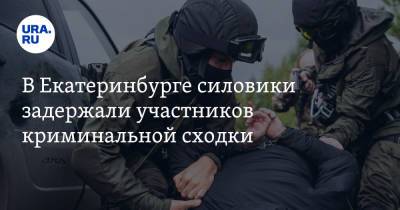В Екатеринбурге силовики задержали участников криминальной сходки