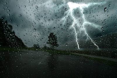 Дожди, грозы, сильный ветер. Прогноз погоды в Смоленской области на 12 августа