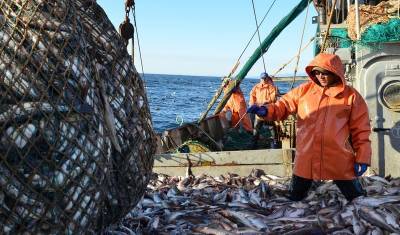 Поставки рыбы в Китай сократились почти вдвое после ужесточения проверок на COVID