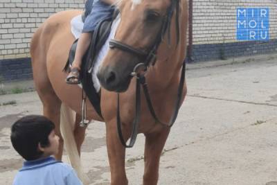 Сотрудники Центра соцобслуживания в Каспийске организовали поездку в конный клуб для детей с ОВЗ