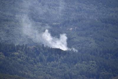 Greenpeace выяснил, почему горят леса в регионах России: В 9 из 10 случаев виноват человек
