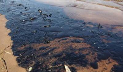 В дельфинарии под Анапой нашли нефтяные пятна после аварии под Новороссийском