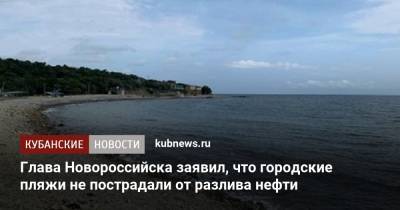 Игорь Дяченко - Глава Новороссийска заявил, что городские пляжи не пострадали от разлива нефти - kubnews.ru - Россия - Краснодарский край - Новороссийск - Экология