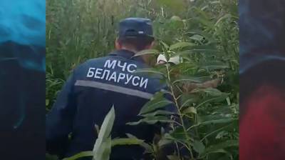 В лесах Пуховичского и Пружанского районов потерялись два пенсионера - их нашли спасатели