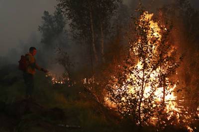 Рабочий заживо сгорел в лесном пожаре в Якутии