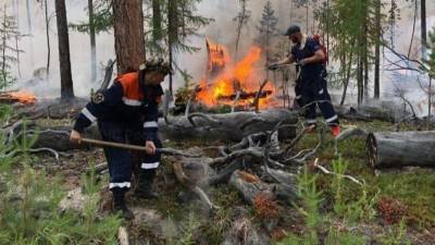 Площадь пожаров в Якутии превысила шесть миллионов гектаров