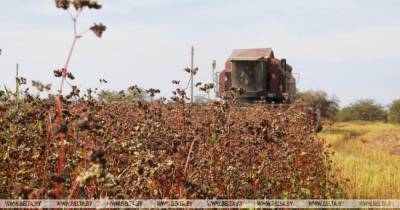 Потерявшим урожай фермерам частично компенсируют потери, — Шмыгаль