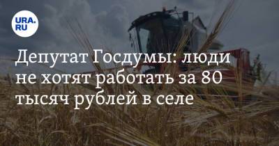 Депутат Госдумы: люди не хотят работать за 80 тысяч рублей в селе