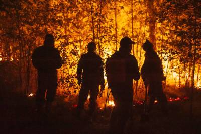 Экологи назвали главную причину лесных пожаров в России