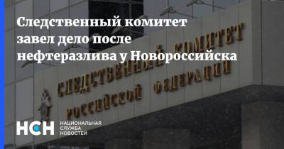 Следственный комитет завел дело после нефтеразлива у Новороссийска