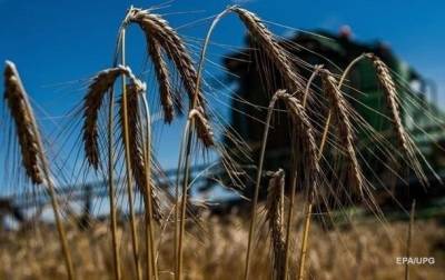 Украинским фермерам возместят ущерб за потерянные посевы