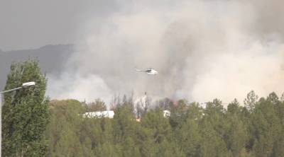 Азербайджанские пожарные продолжают борьбу с лесными пожарами в Турции (ФОТО/ВИДЕО)