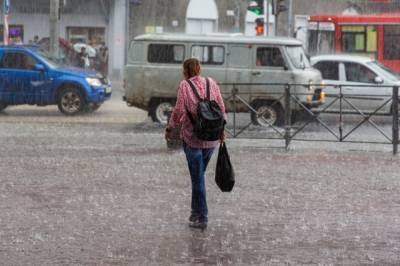 Синоптик: 12 августа в Москве может стать самым дождливым днем за 20 лет