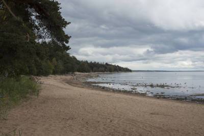 В Ленинградской области в четверг обещают дождливую жаркую погоду