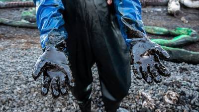 В бухте Новороссийска пытаются предотвратить экологическую катастрофу из-за разлива нефти