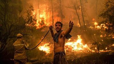 Абдельмаджид Теббун - Лесные пожары в Алжире: не менее 65 человек погибли - unn.com.ua - Украина - Киев - Алжир - Алжирская Народная Демократическая Республика
